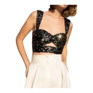 NWOT Sabina Musayev Renny Sequined Crop Top In Multi Size XS